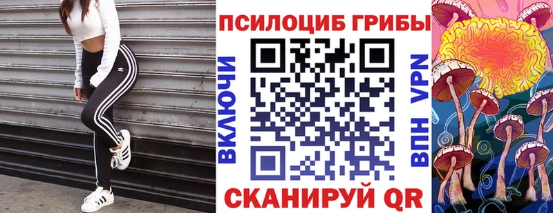 продажа наркотиков  площадка Telegram  Псилоцибиновые грибы Psilocybine cubensis  Осташков 